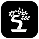 bonsai.trade官网 – 无情算法助力交易决策