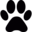 ShortVideoGen官网 – 文本转视频的AI应用
