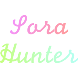 Sora Hunters官网 – AI视频爱好者的平台