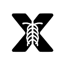 X-ray Interpreter官网 – AI驱动的X光图像解读工具
